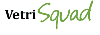 VS21 - VetriSquad lander logo
